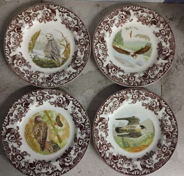 Spode Woodland Set Of 4 Dinner Plates- Birds of Prey-Price Cut Ltd Time