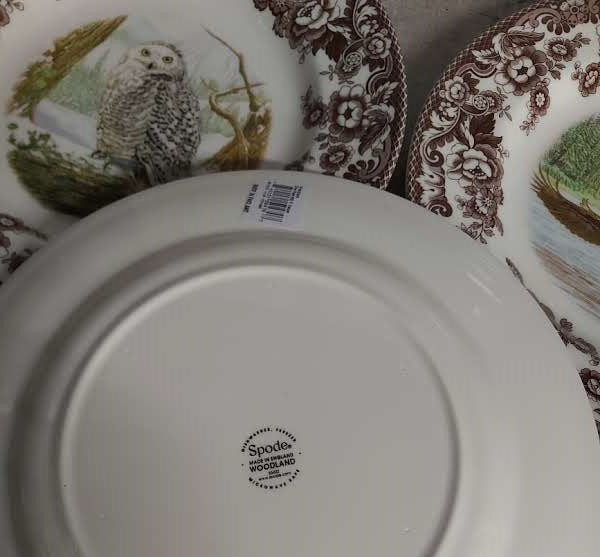 Spode Woodland Set Of 4 Dinner Plates- Birds of Prey-Price Cut Ltd Time