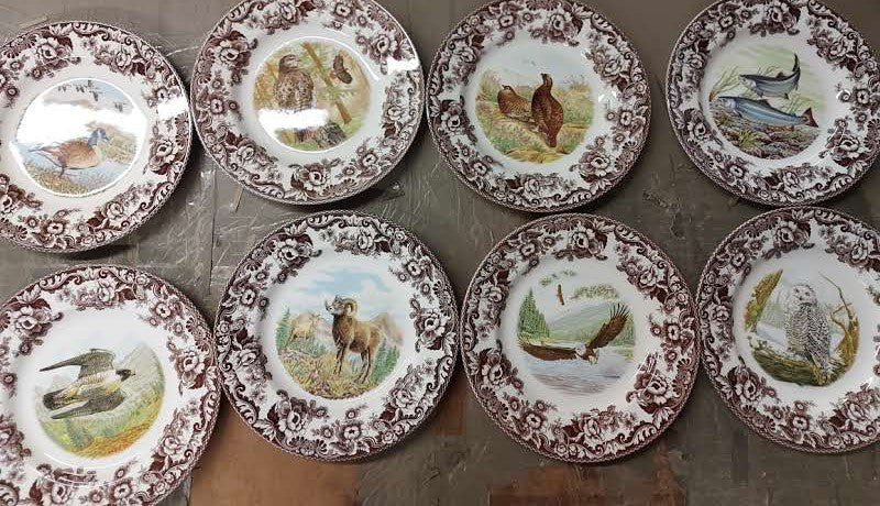Spode Woodland Set Of 8 Dinner Plates-8 hard to find designs