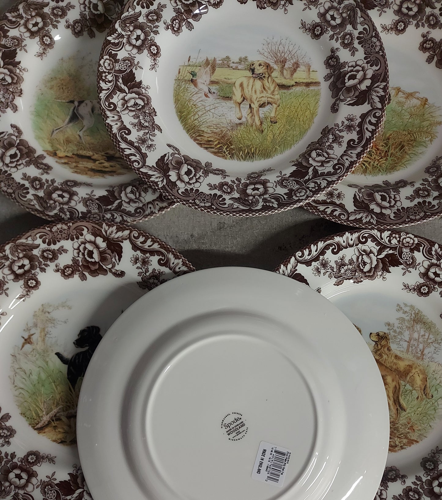 Spode Woodland 6 pk dinners- 5 different dog designs + red fox