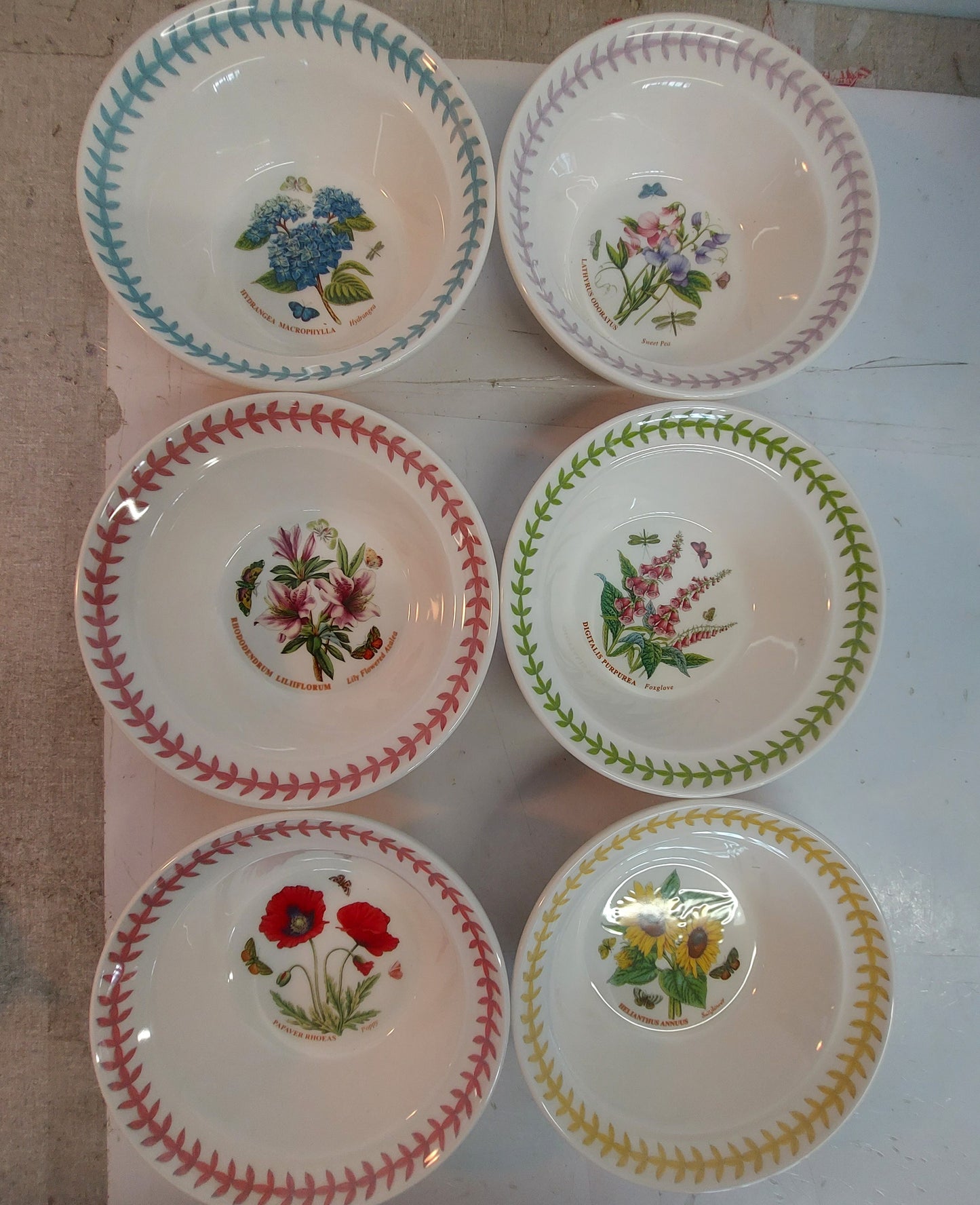 Portmeirion Botanic Garden MEADOW set of 6 cereal bowls