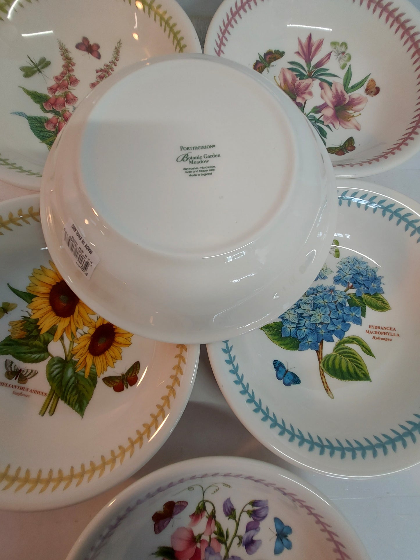 Portmeirion Botanic Garden MEADOW set of 6 pasta bowls