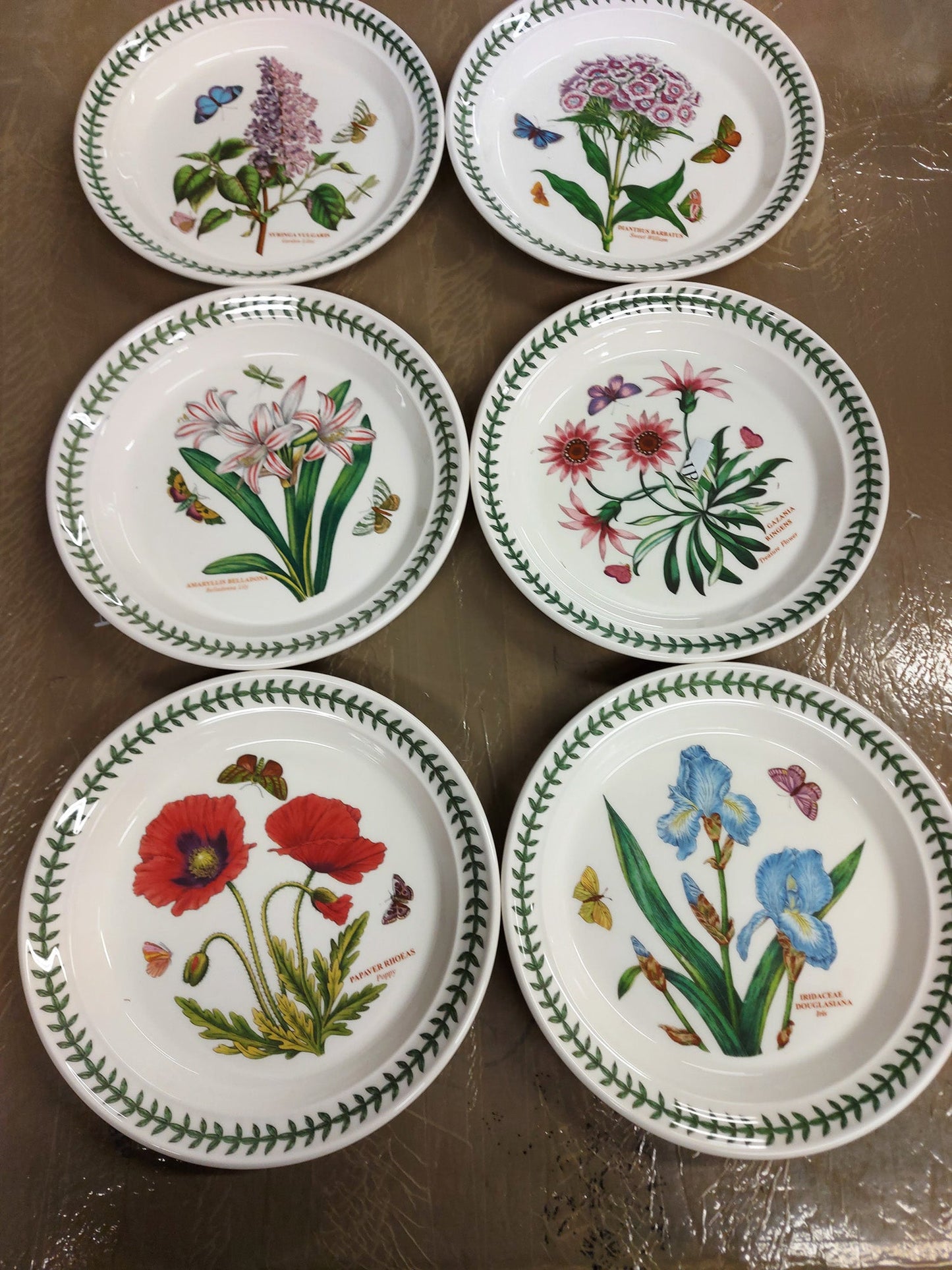 Portmeirion Botanic Garden Salad Plate Set of 6 - Shoppedeals