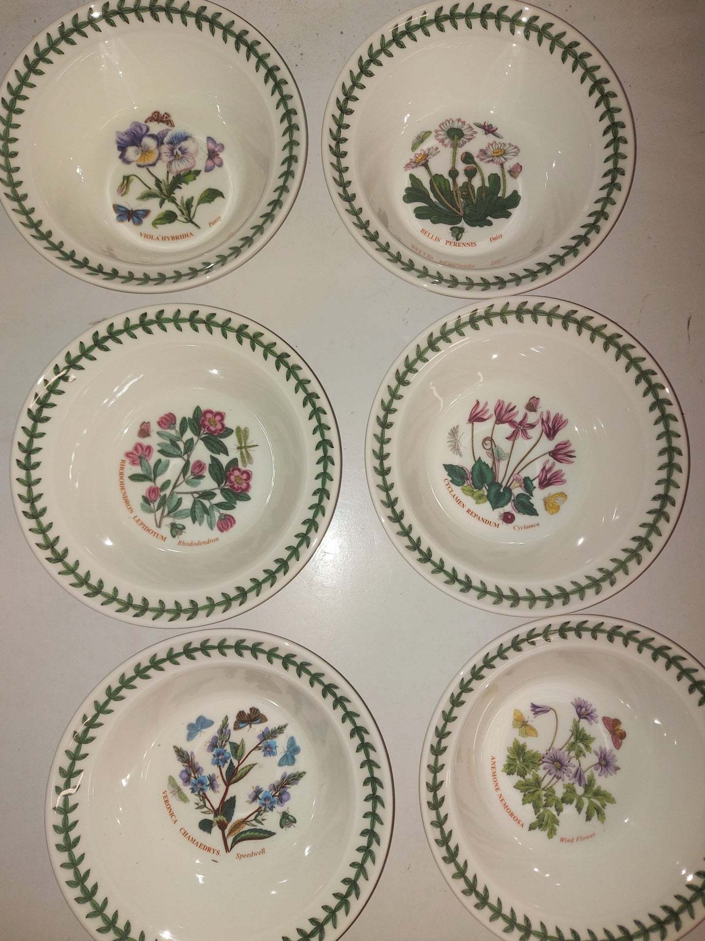 Portmeirion Botanic Garden Set of 6 Soup/ Cereals- PRICE CUT! ltd time - Shoppedeals