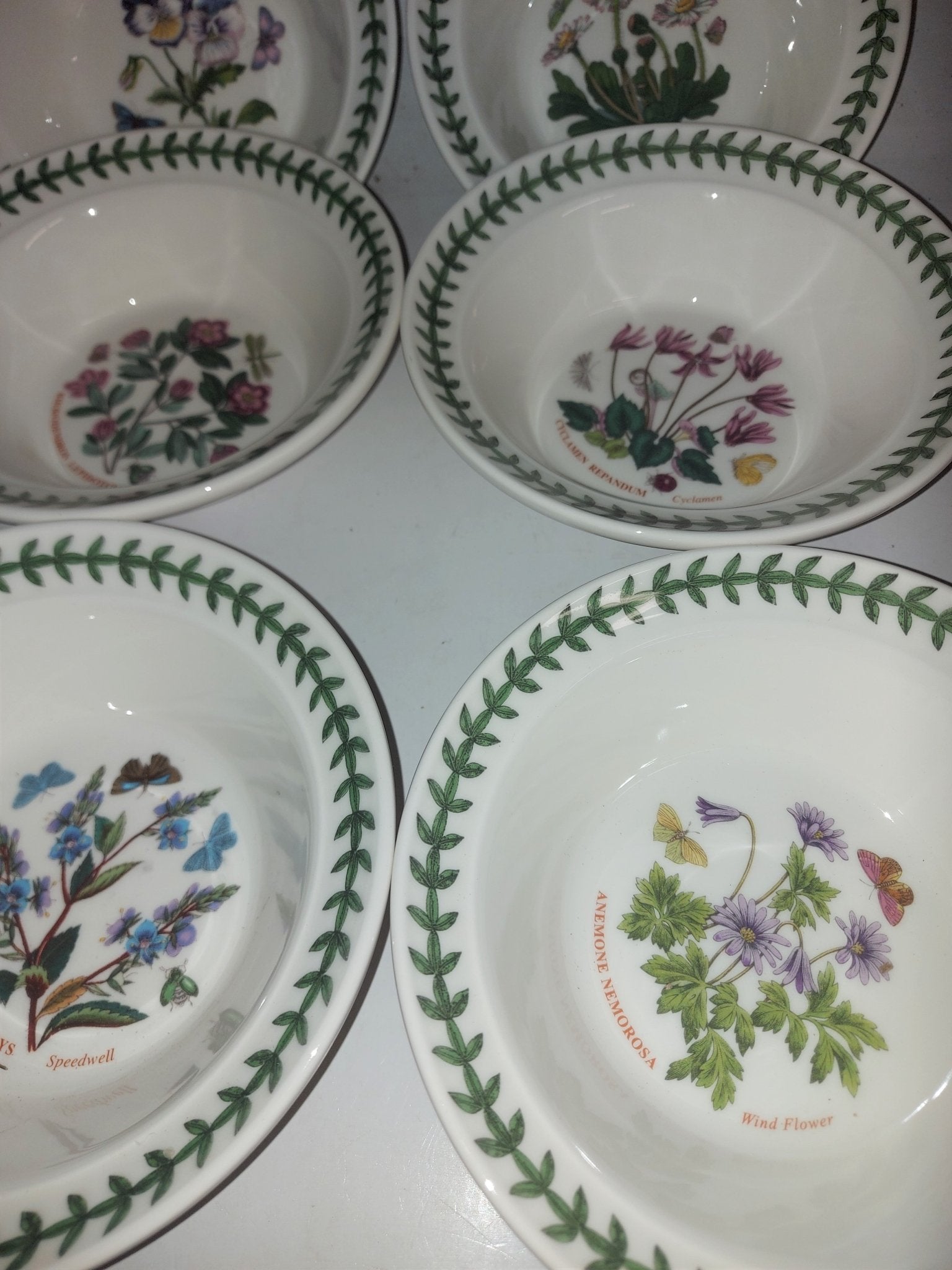 Portmeirion Botanic Garden Set of 6 Soup/ Cereals- PRICE CUT! ltd time - Shoppedeals