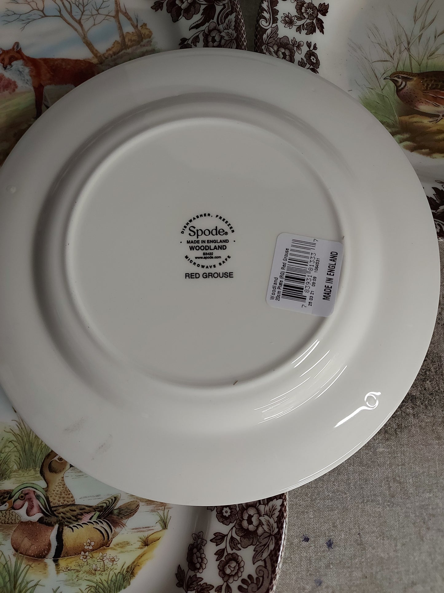 Spode Woodland Salad Plates Set of 4- 4 classic birds---3611---