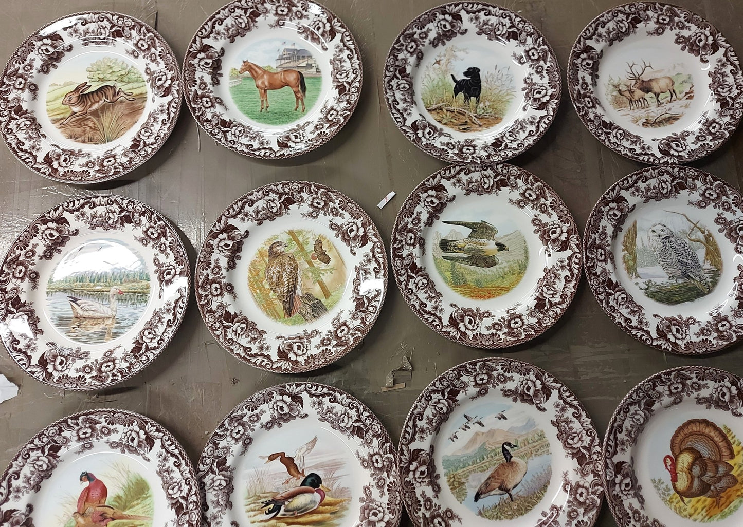 Spode Woodland Set Of 12 Dinner Plates- 12 unique designs birds+++ - Shoppedeals