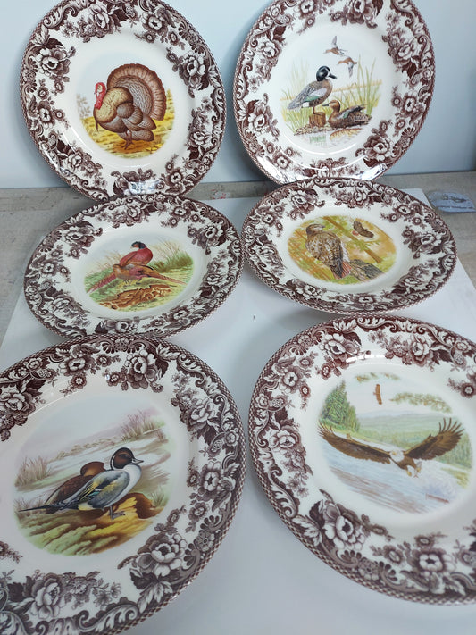 Spode Woodland set of 6 Dinner Plates All birds includes wing teal