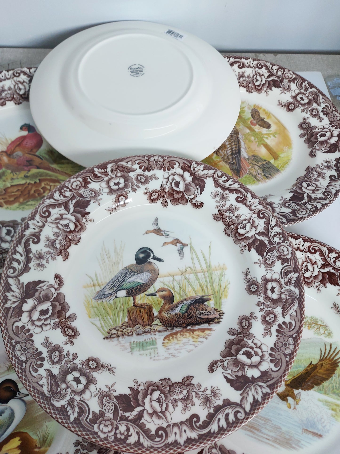 Spode Woodland set of 6 Dinner Plates All birds includes wing teal