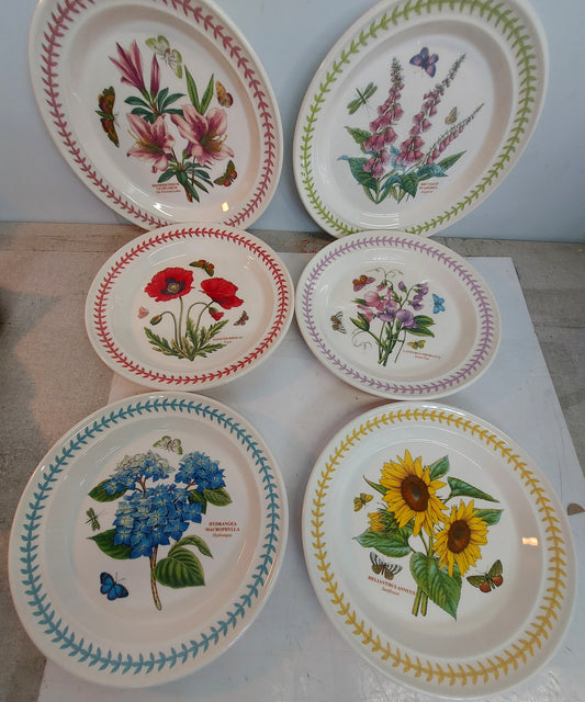 Portmeirion Botanic Garden MEADOW set of 6 10.5 inch inner plates