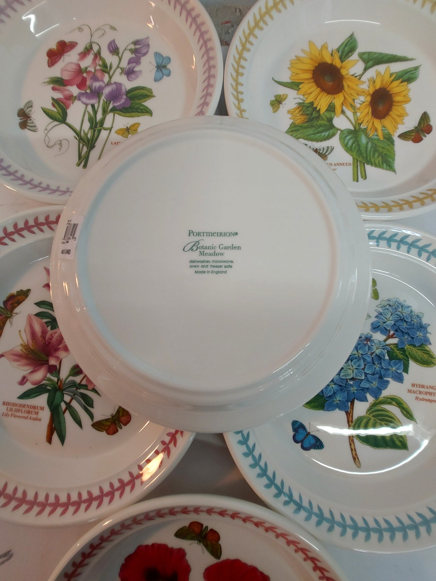 Portmeirion Botanic Garden MEADOW set of 6 Salad plates
