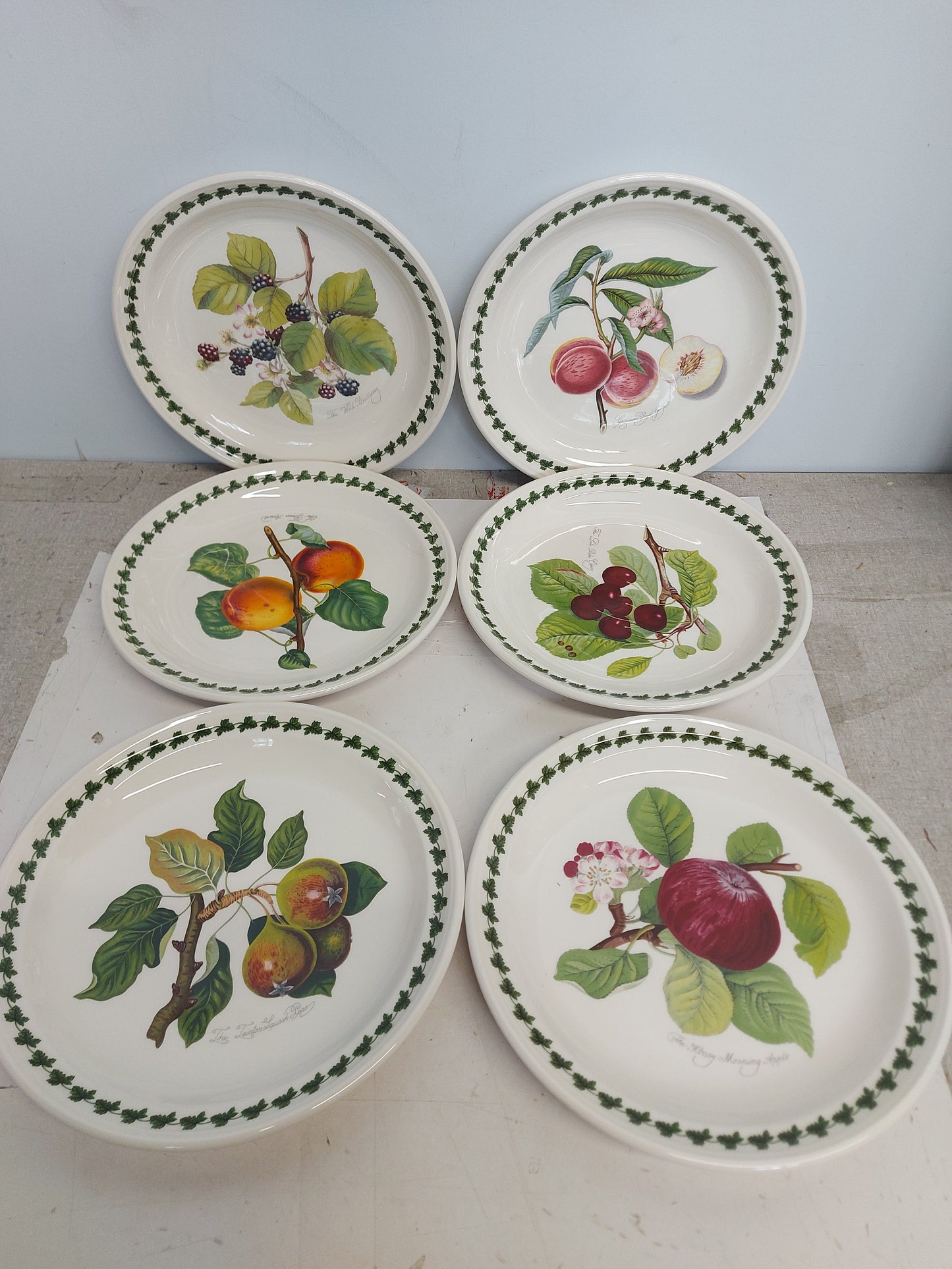 Portmeirion Pomona set of 6 dinner plates---4701---