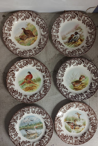 Spode Woodland Salad Plates Set of 6- 6 UNIQUE Birds