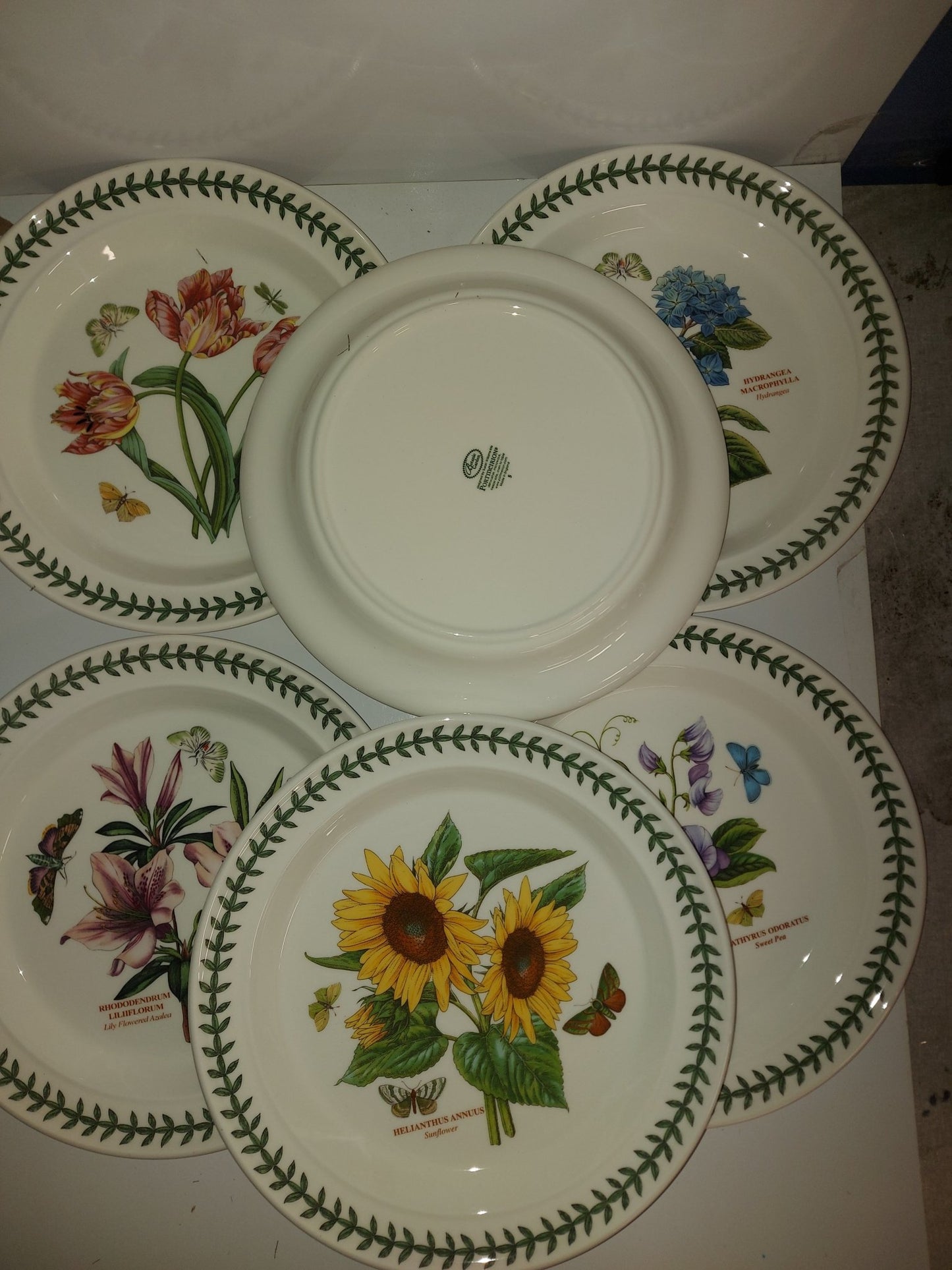 Portmeirion Botanic Garden Dinner Plates Set of 6- PRICE cut! - Shoppedeals