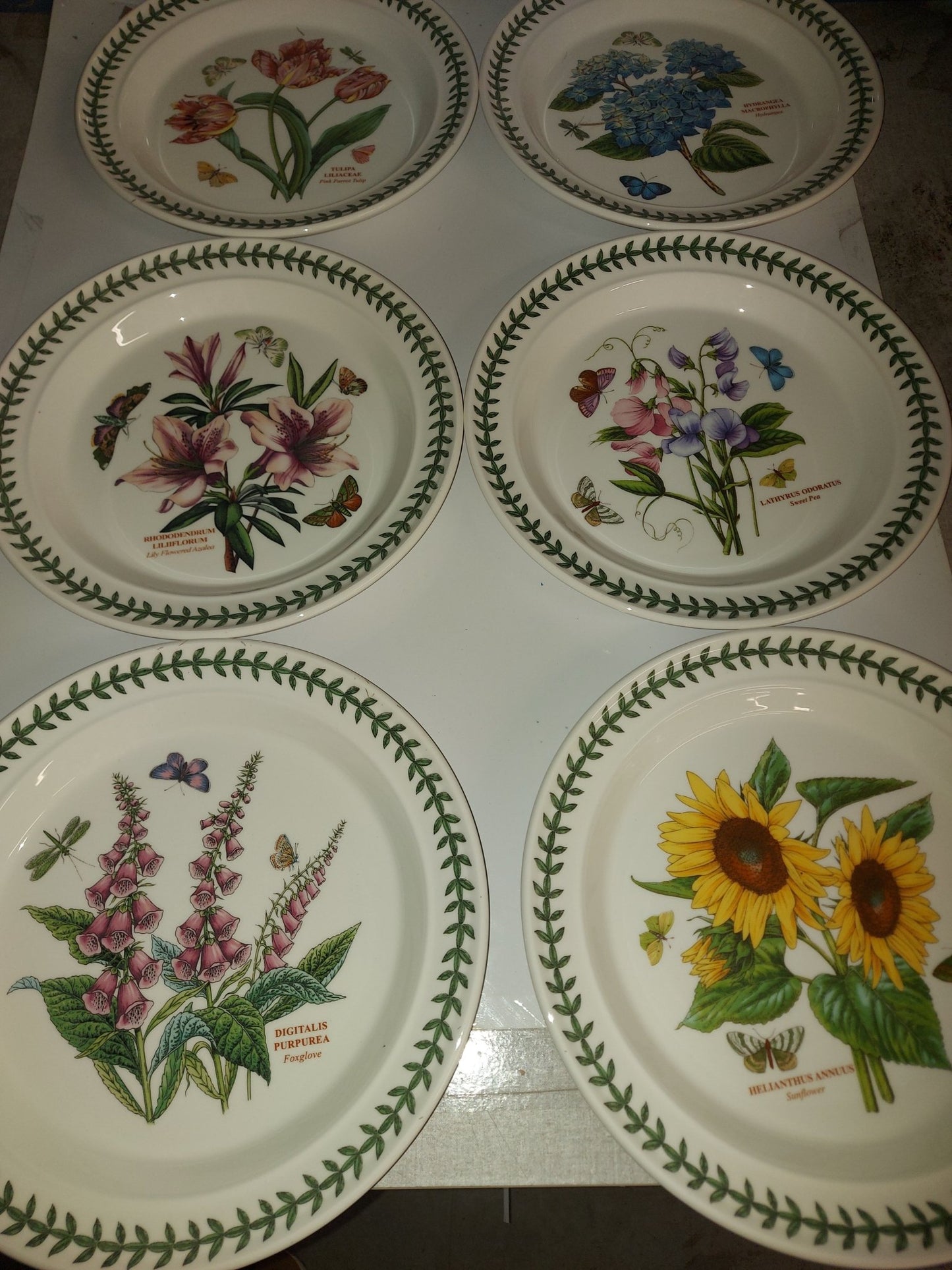 Portmeirion Botanic Garden Dinner Plates Set of 6- PRICE cut! - Shoppedeals