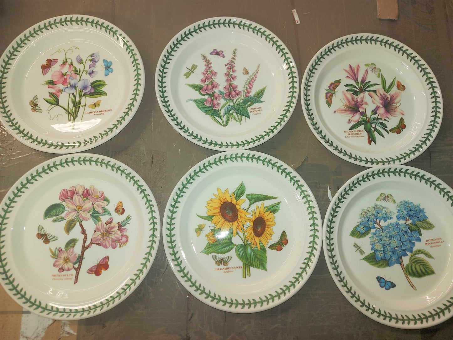 Portmeirion Botanic Garden Dinner Plates Set of 6- PRICE cut! - Shoppedeals