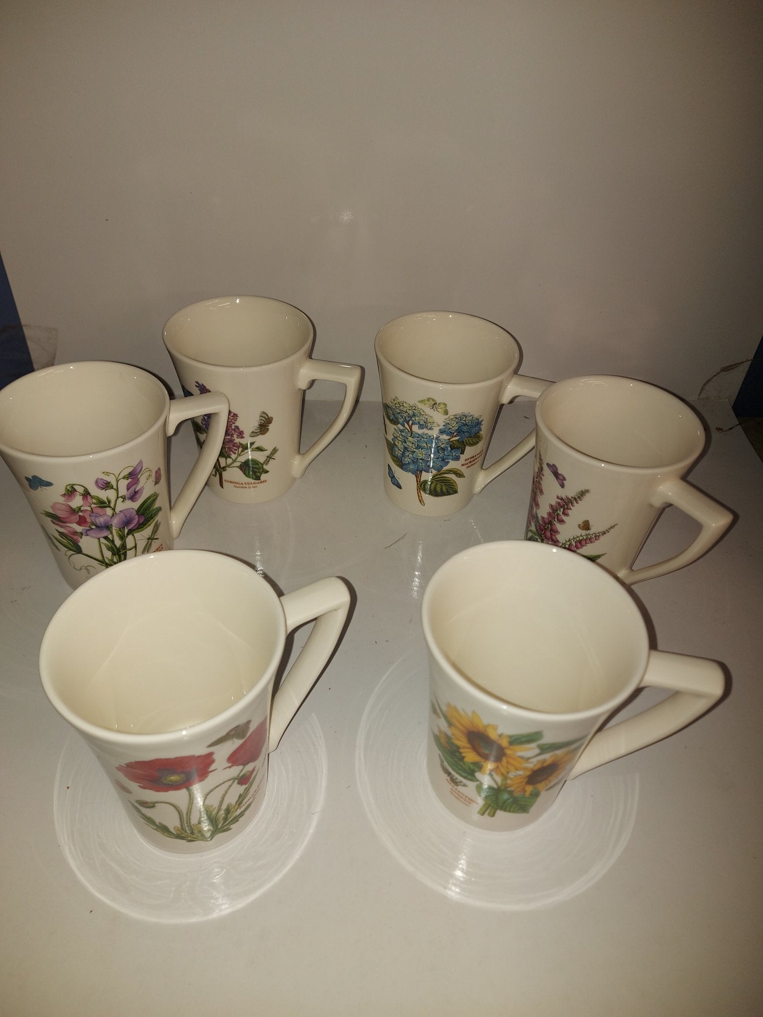Portmeirion Botanic Garden Mandarin Mug 10 Oz Set of 6- price CUT! - Shoppedeals