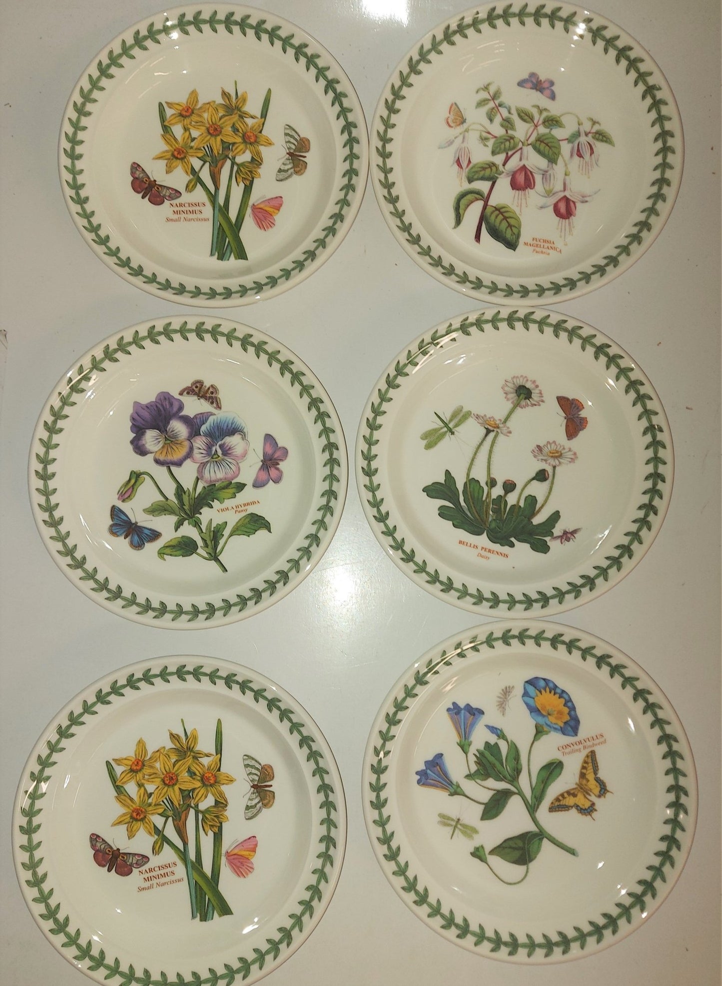 Portmeirion Botanic Garden set of 6 Bread and butter plates - Shoppedeals