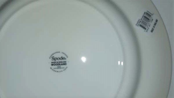 Spode Woodland Dinner Plate Snow Goose - Shoppedeals