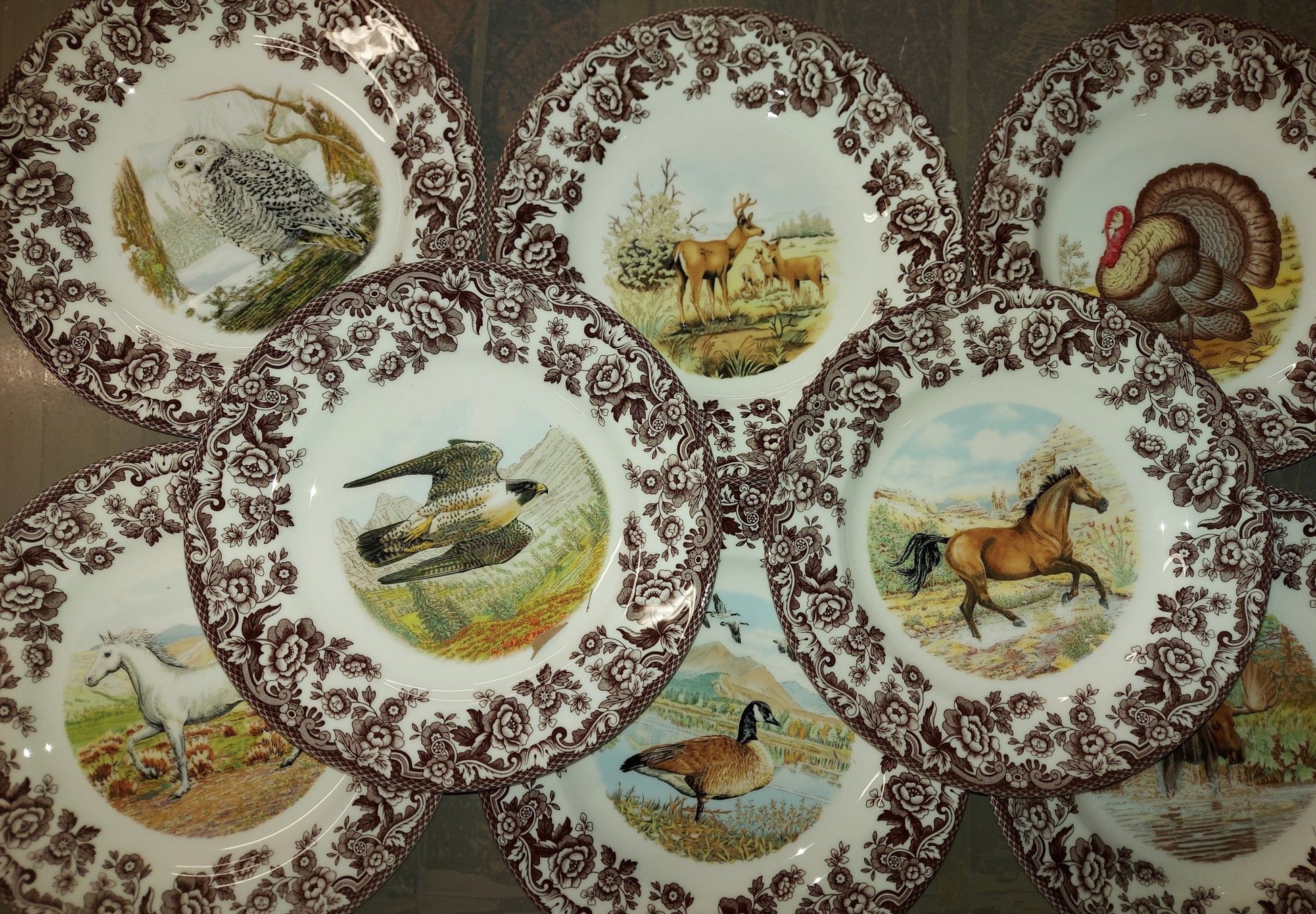 Spode Woodland Set of 8 Salad Plates 8 different designs birds of prey, Horses ++ - Shoppedeals
